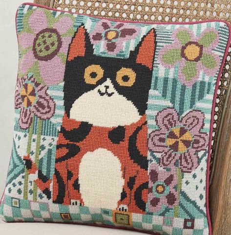 Hovedbilde Tabby Cat